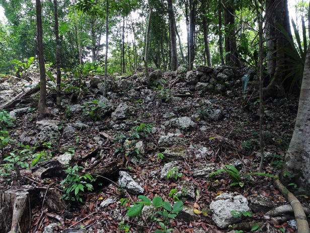 undiscovered Mayan ruins